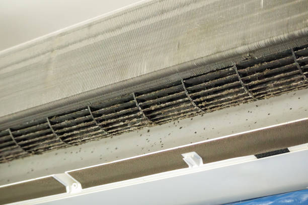 Best Duct Cleaning for Homes  in Strum, WI
