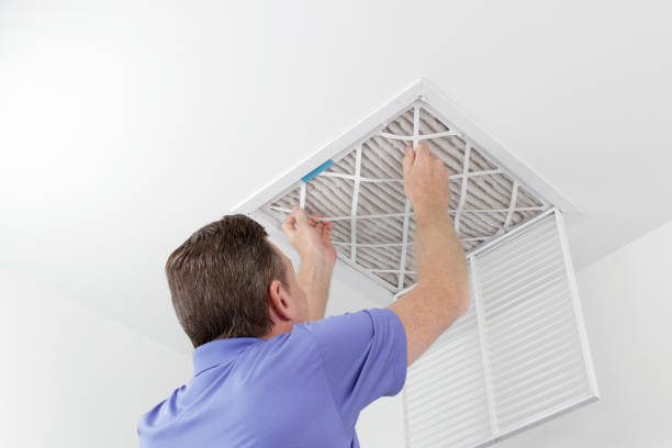 Air Duct Mold Removal in WI